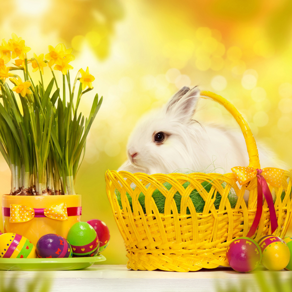 Пушистый белый кролик в корзине на столе с нарциссами и крашеными яйцами