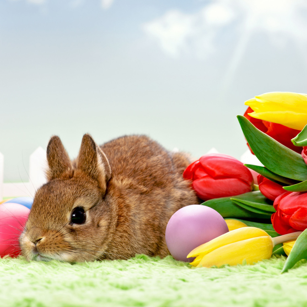 Серый декоративный кролик с букетом тюльпанов и яйцами 