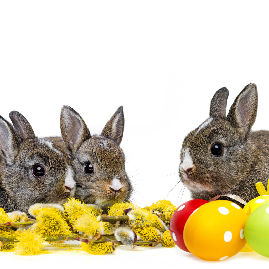 Маленькие серые кролики с веткой вербы и крашеными яйцами на белом фоне