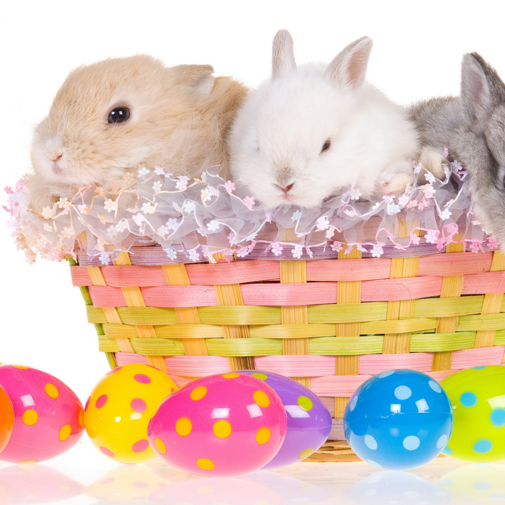 Три маленьких декоративных кролика в корзине на белом фоне с пасхальными яйцами
