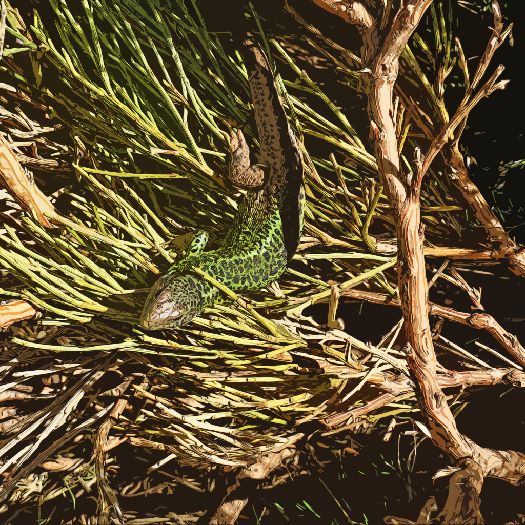 Зеленая ящерица в ветках 