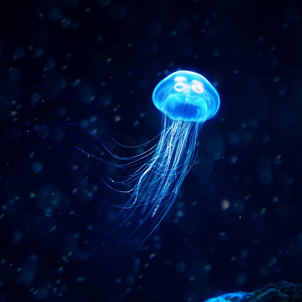 Неоновая медуза под водой 