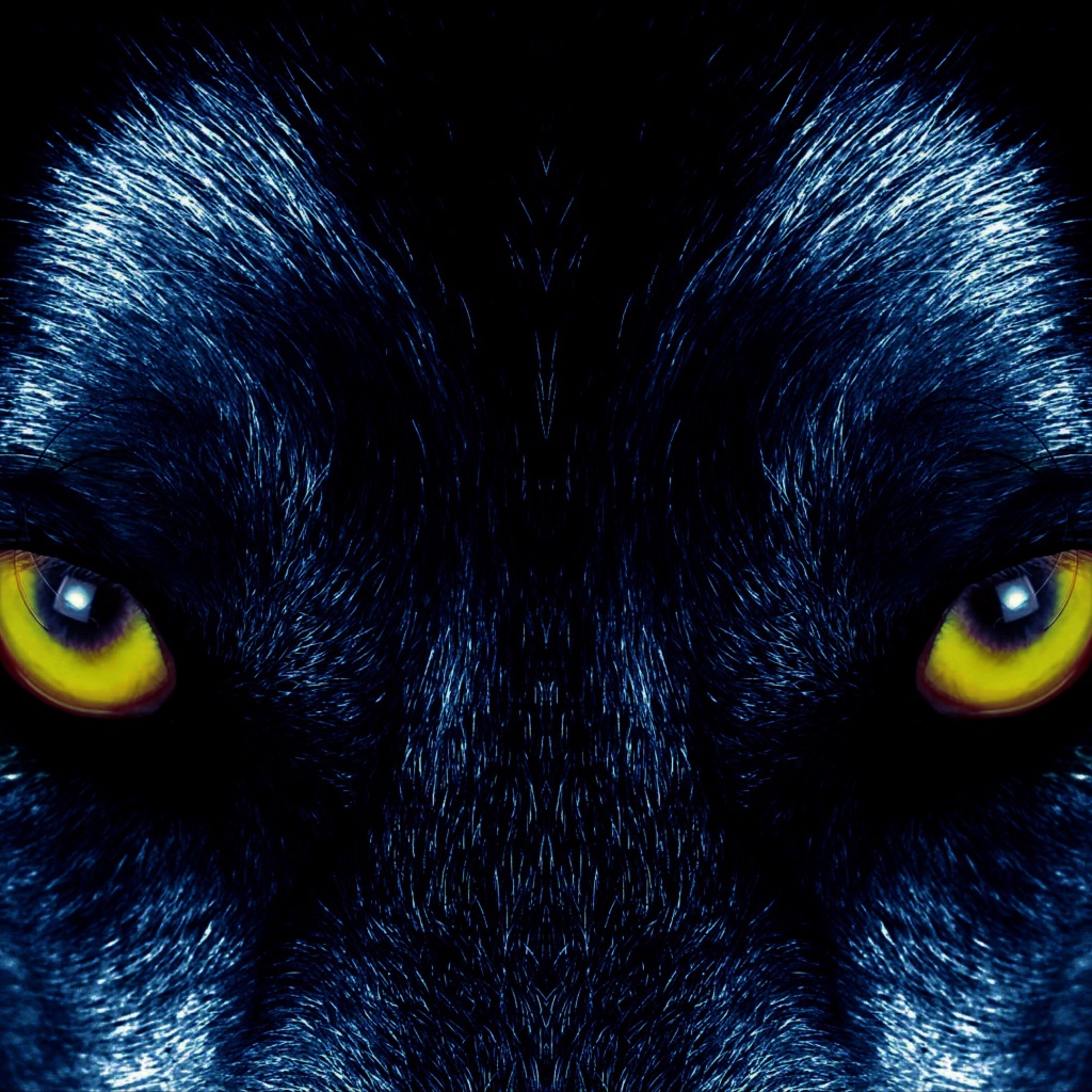 black wolf with yellow eyes wallpaper