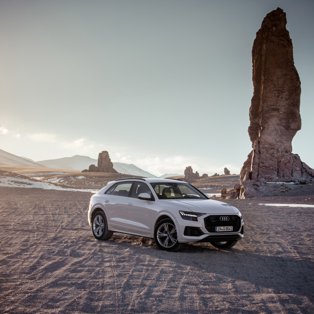 Audi Q8 SUV stands on the sand against the backdrop of rocks