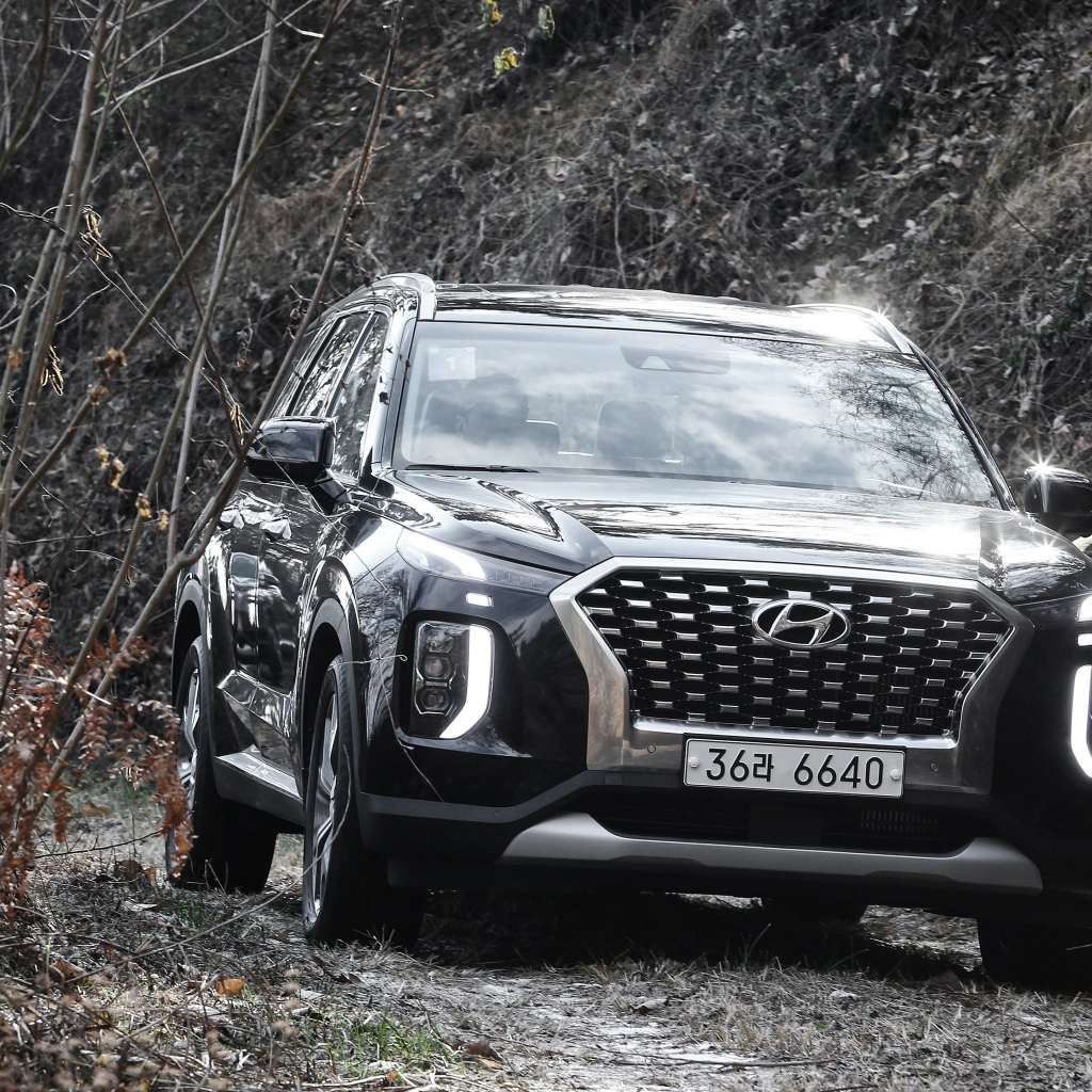 Черный внедорожник Hyundai Palisade 2019 года в зарослях 