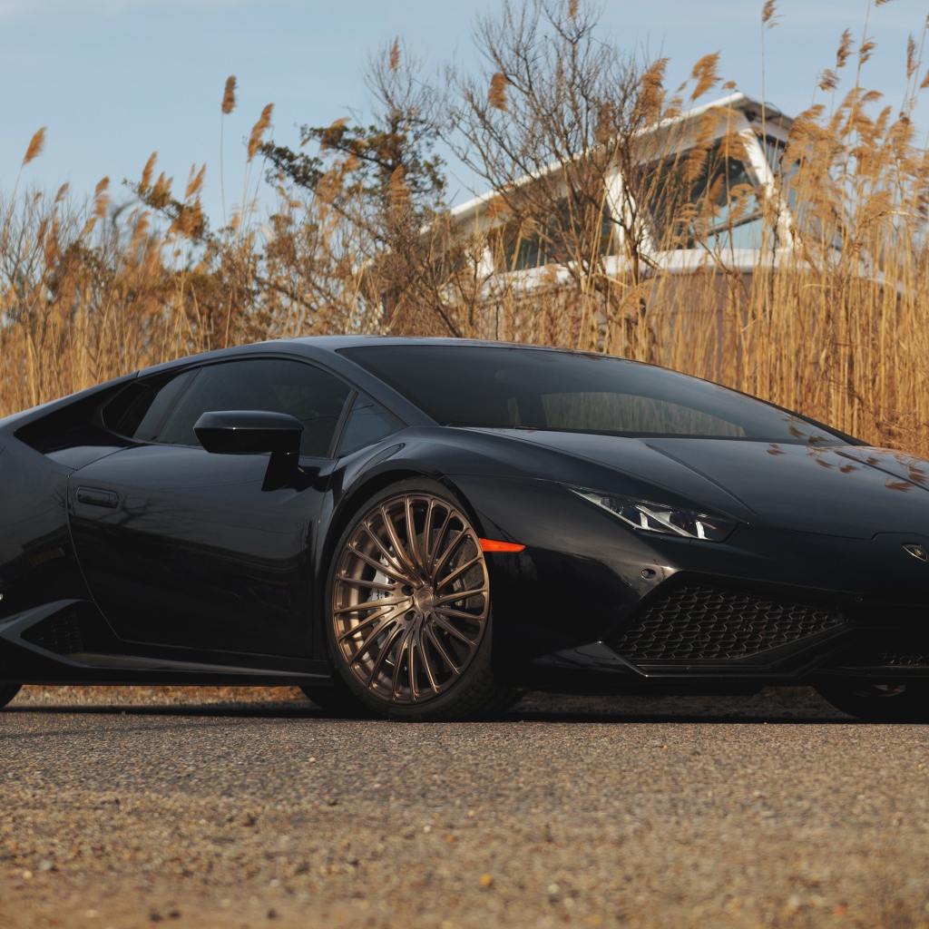 Черный автомобиль Lamborghini Huracan на фоне камыша