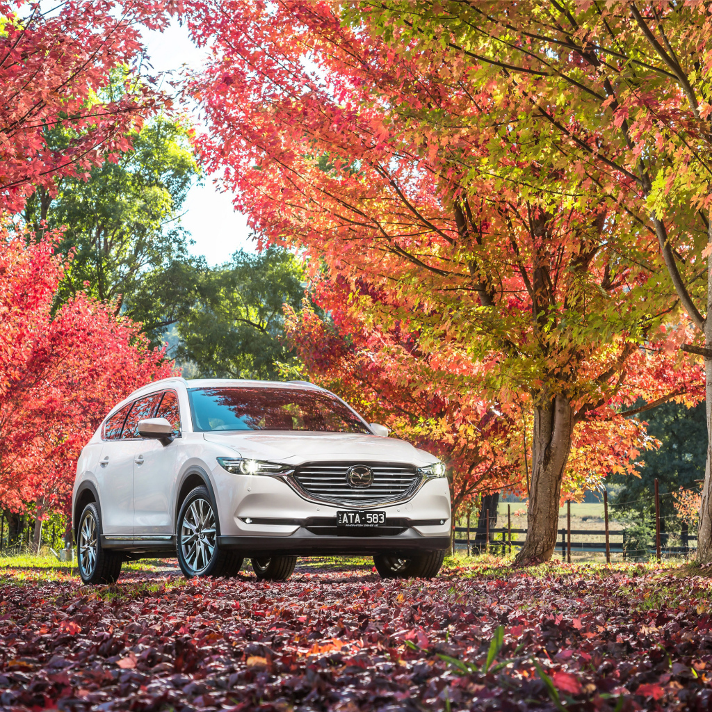 Белый автомобиль Мазда в осеннем парке