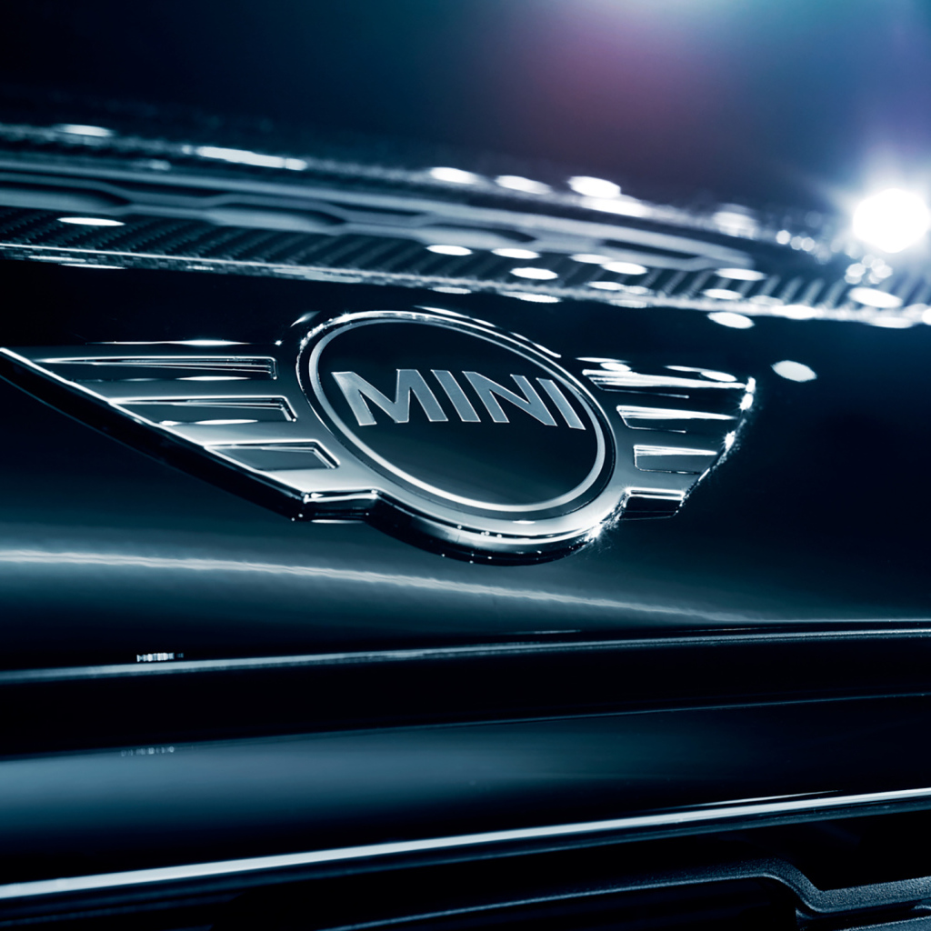 Логотип автомобиля MINI LOGO крупным планом
