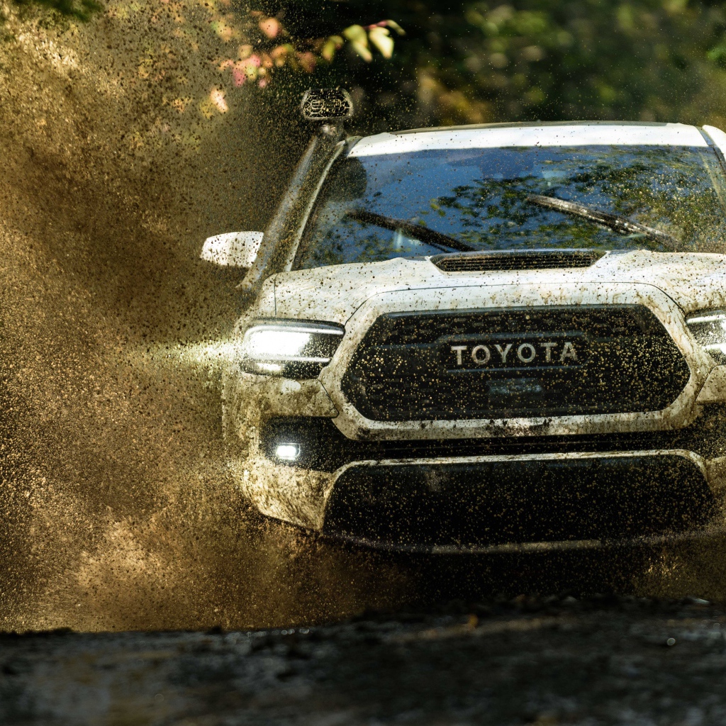 Внедорожник Toyota Tacoma, 2020 года едет по грязной воде