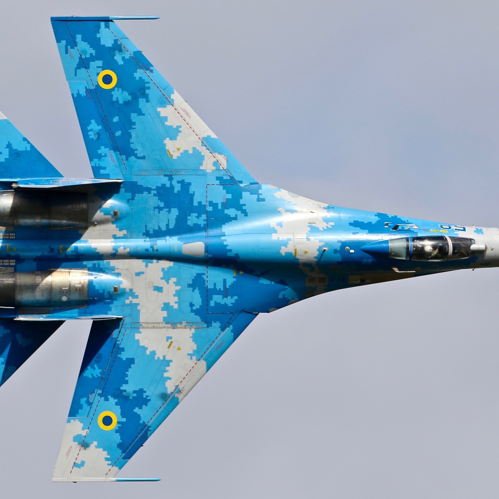 Реактивный Истребитель  Су-27 сухой