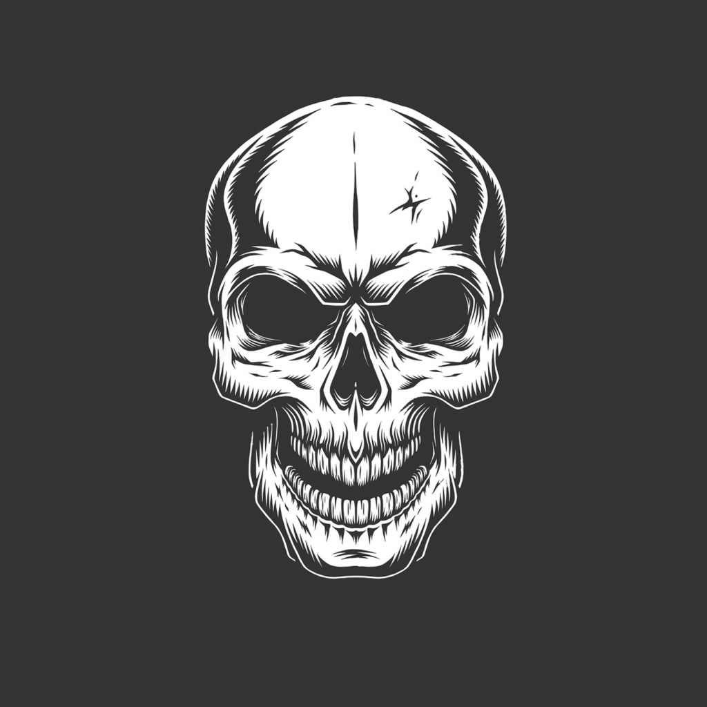 Белый нарисованный череп на сером фоне 