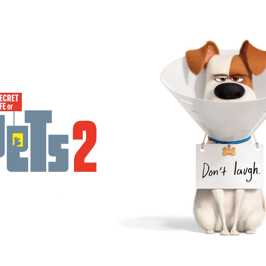 Постер мультфильма  Тайная жизнь домашних животных 2