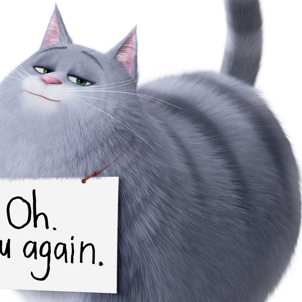 Кошка Хлоя из Тайная жизнь домашних животных 2 на белом фоне