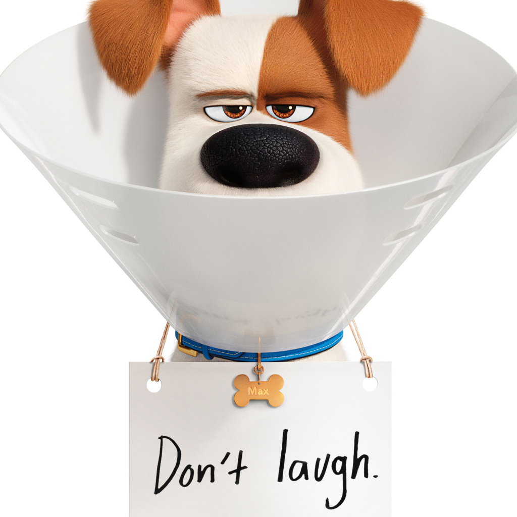 Джек-рассел-терьер Макс из мультфильма Тайная жизнь домашних животных 2