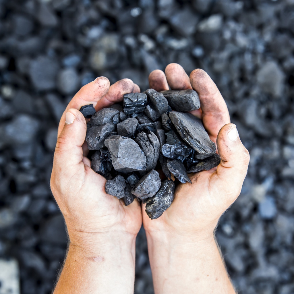 Куски угля в руках у мужчины 