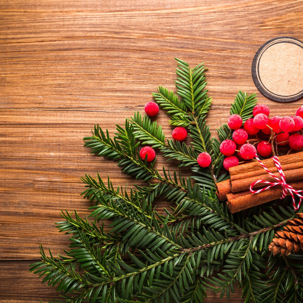 Еловая ветка, корица, ягоды рябины и шишки на деревянном фоне