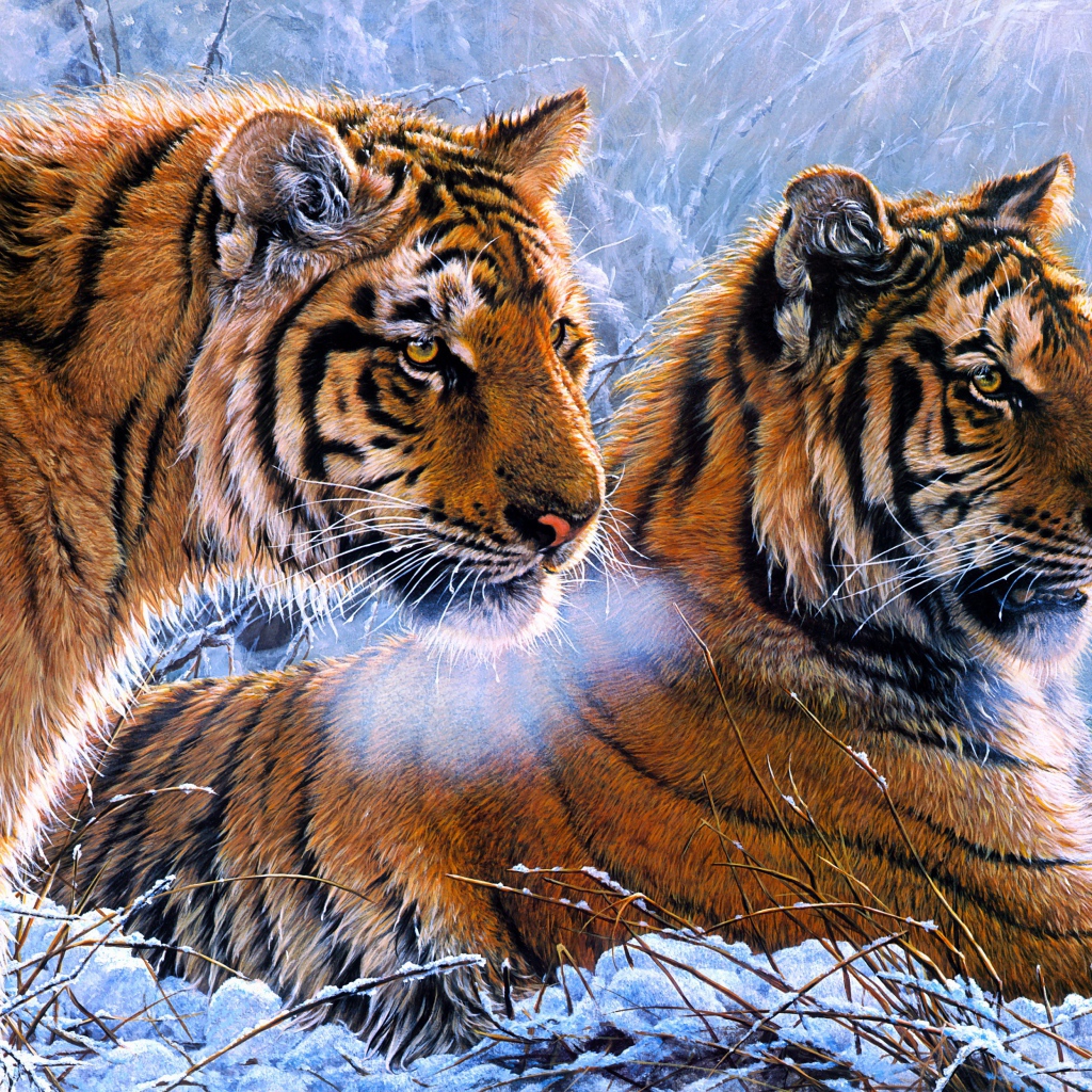 Two drawn tigers in the snow