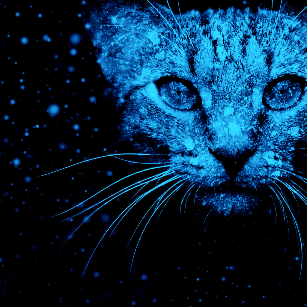 Неоновый фантастический кот на черном фоне 