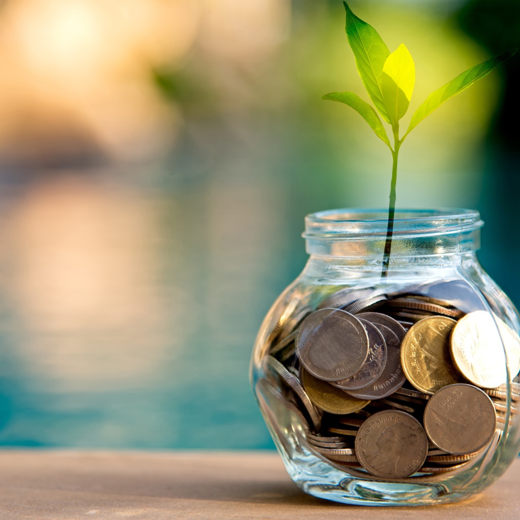 Зеленый росток прорастает из копилки 