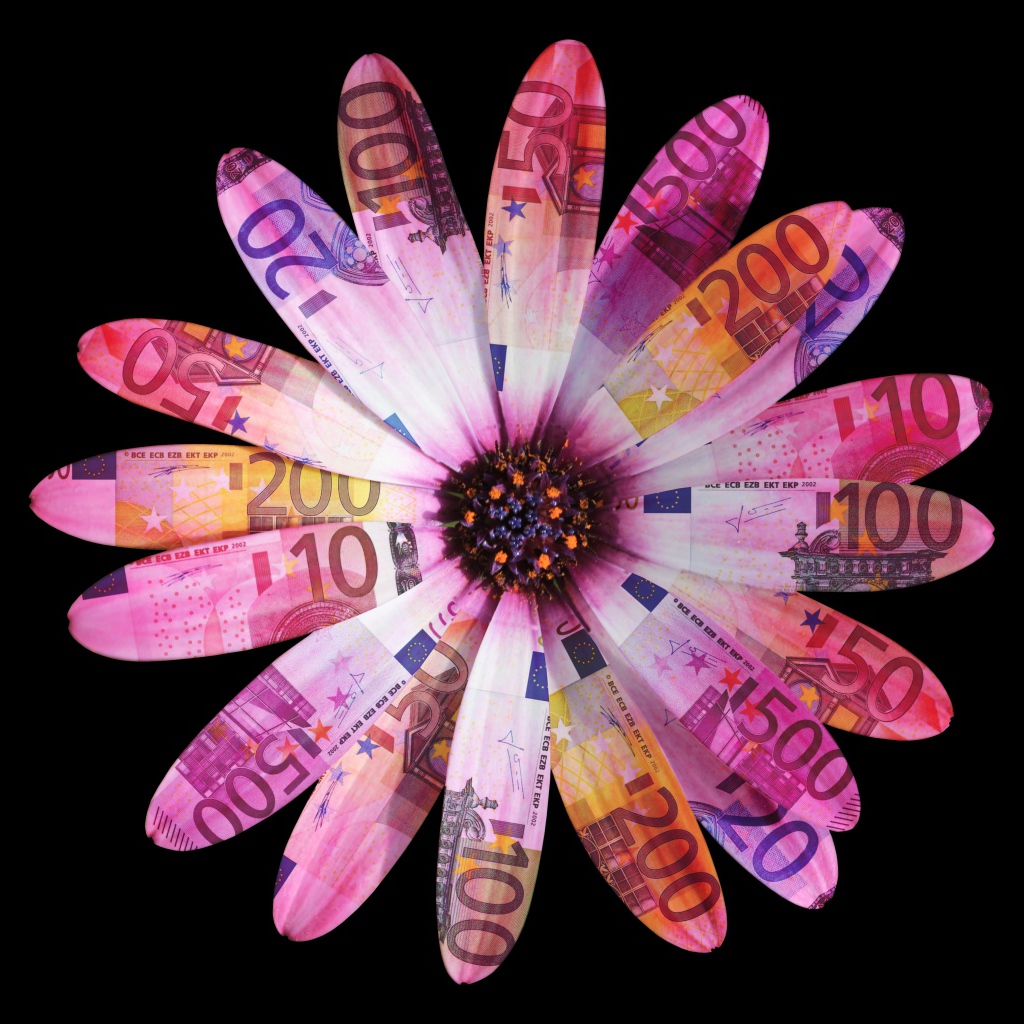 Цветок из купюр евро на черном фоне