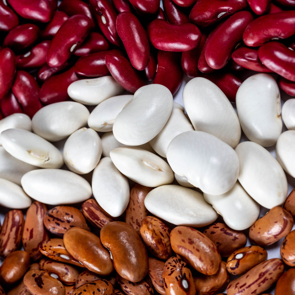 Много разноцветной фасоли крупным планом