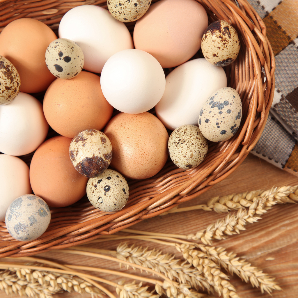 Куриные и перепелиные яйца в корзине на столе с колосками