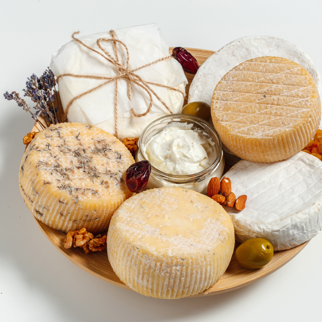 Разные виды сыра на тарелке с орехами на сером фоне