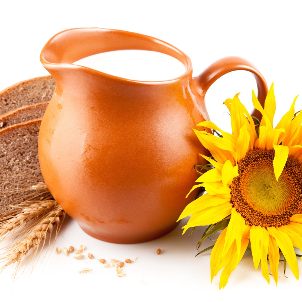 Кувшин с молоком на белом фоне с хлебом и подсолнухом