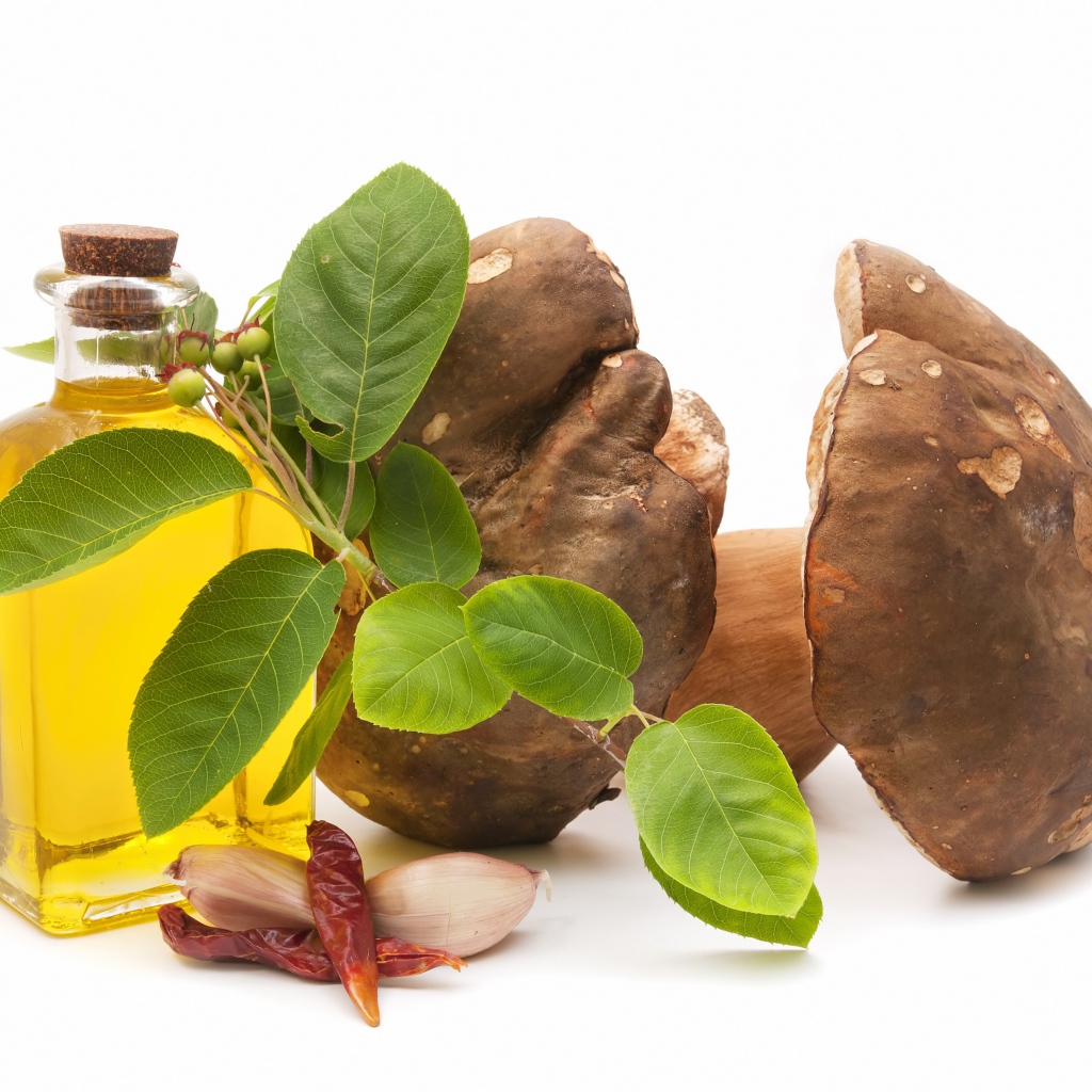 Грибы на белом фоне с оливковым маслом и чесноком