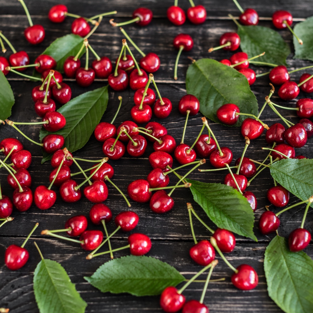 Много спелой черешни на столе с зелеными листьями