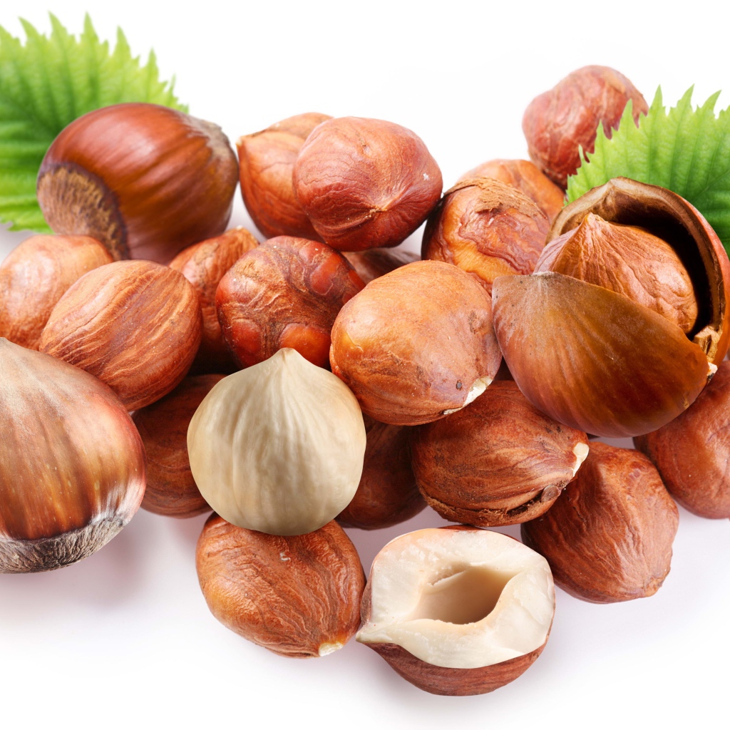 Много лесных орехов на белом фоне