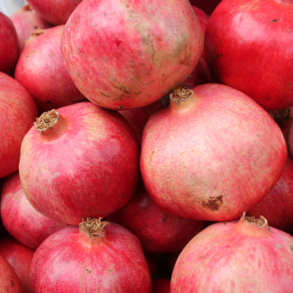 Много красных плодов граната крупным планом