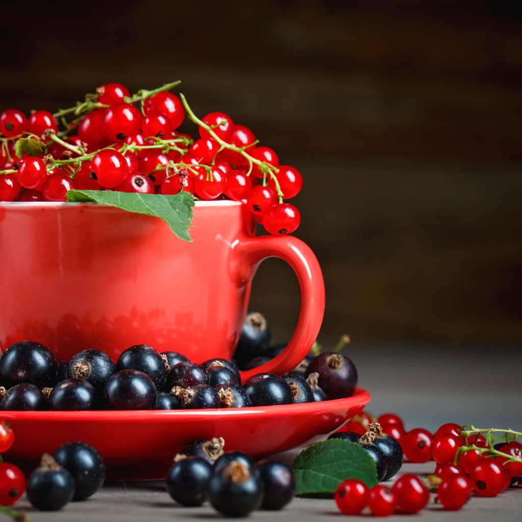 Красная смородина в чашке на блюдце с черной смородиной
