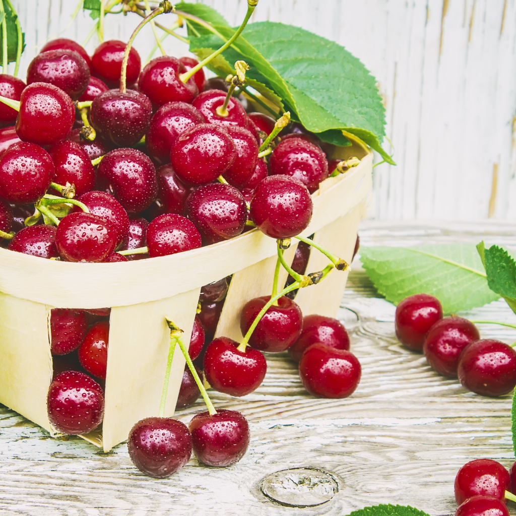 Спелые красные вишни в корзинке на столе