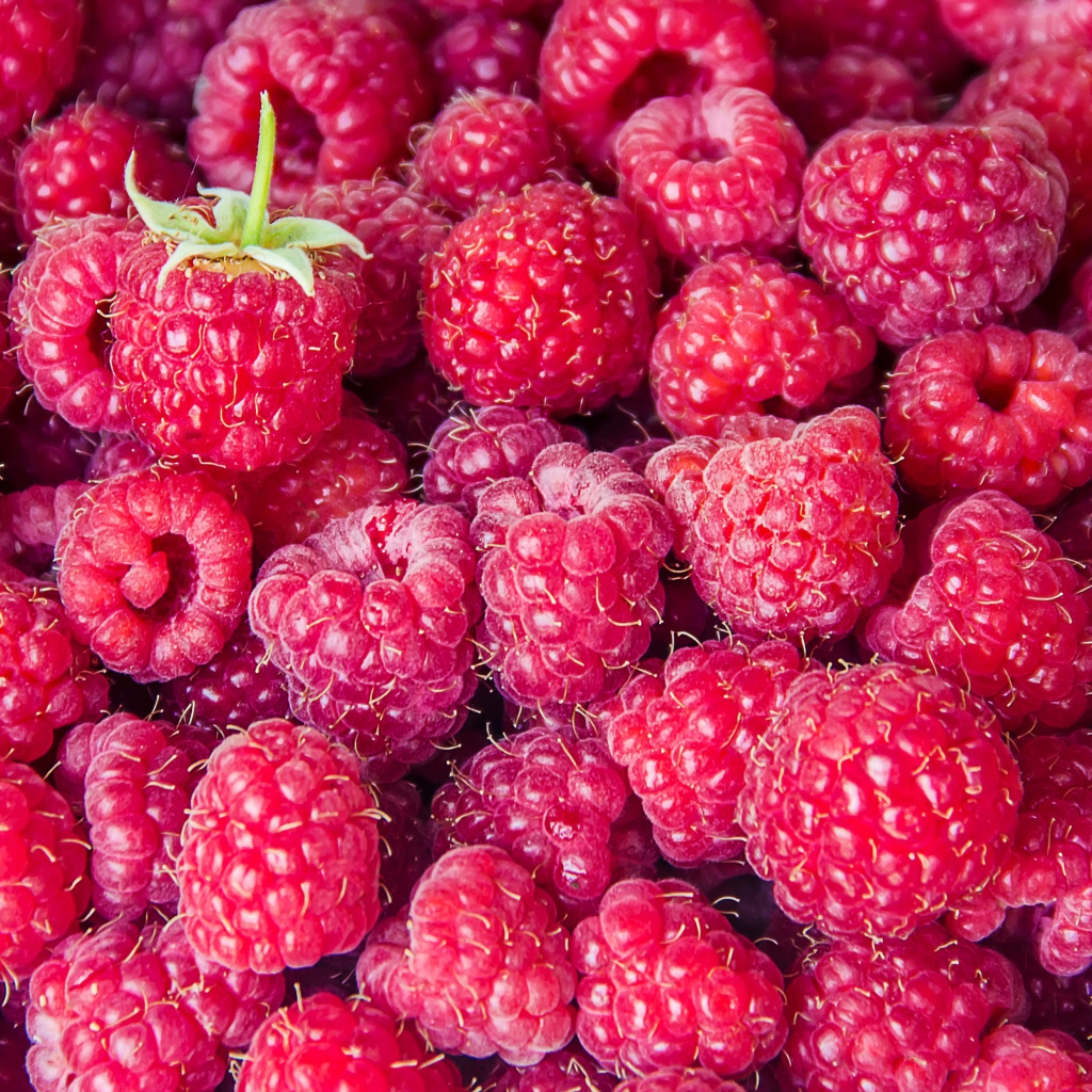 Вкусная спелая малина крупным планом