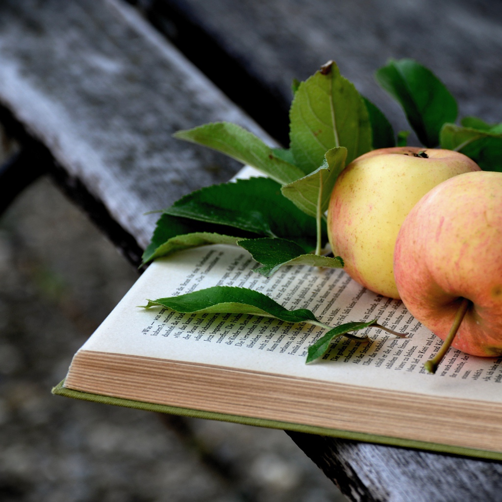 Два яблока лежат на книге на деревянной лавке