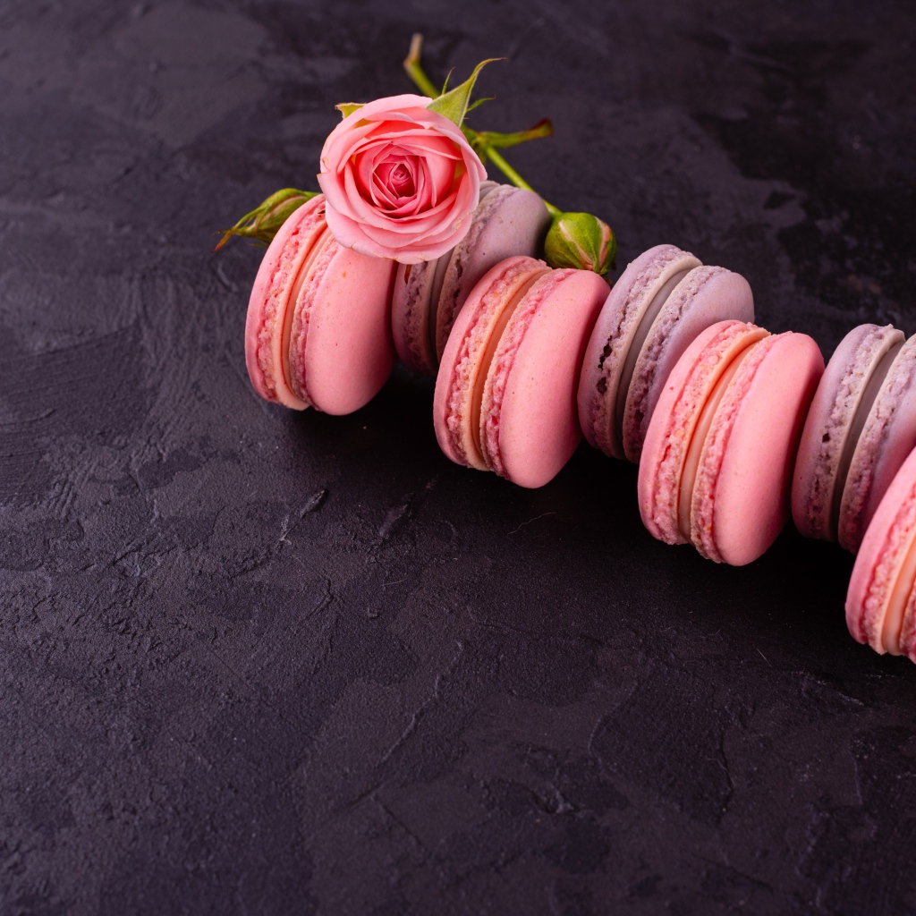 Аппетитный сладкий десерт макарон на серой поверхности с розой 