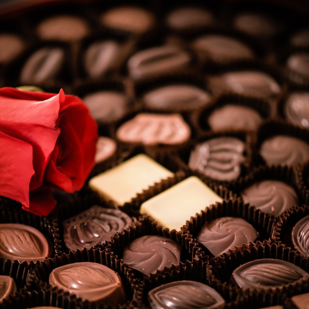 Красная роза лежит на коробке с шоколадными конфетами ассорти 