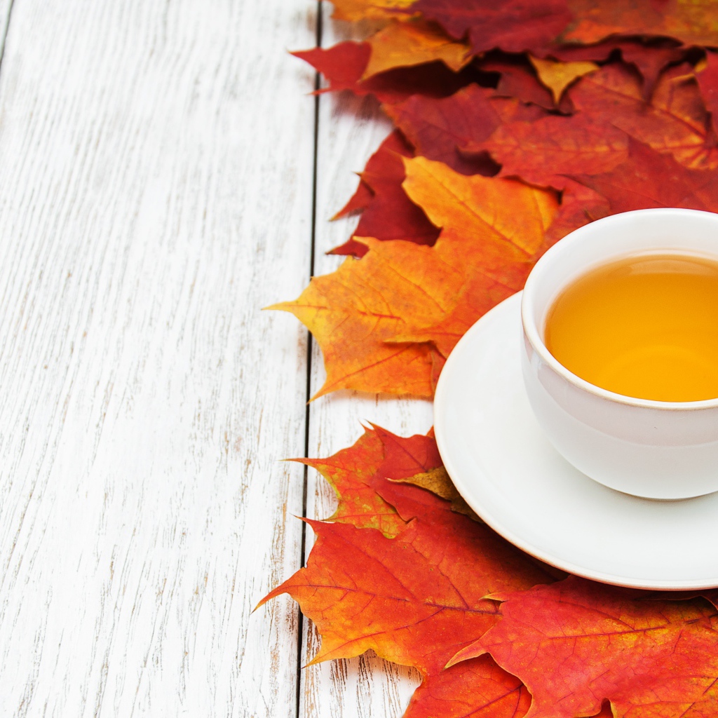 Чашка чая на столе с осенней листвой 