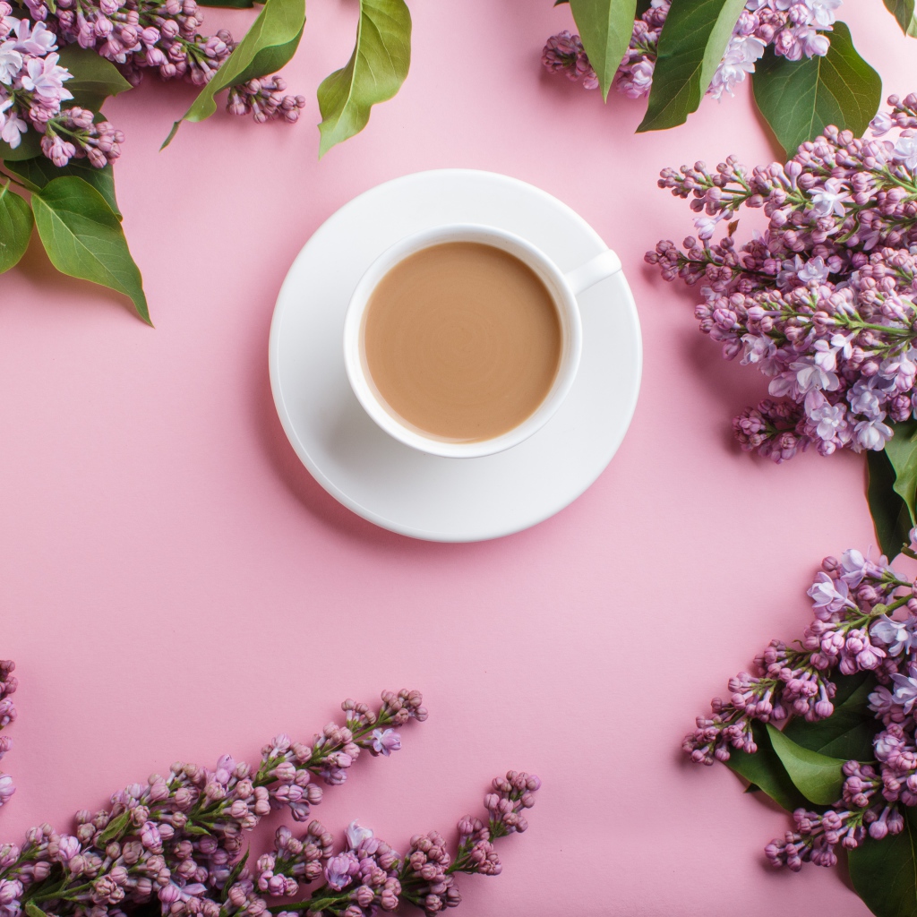 Белая чашка с какао на розовом фоне с цветами сирени