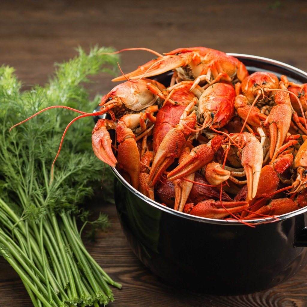 Вареные раки в кастрюле на столе с укропом