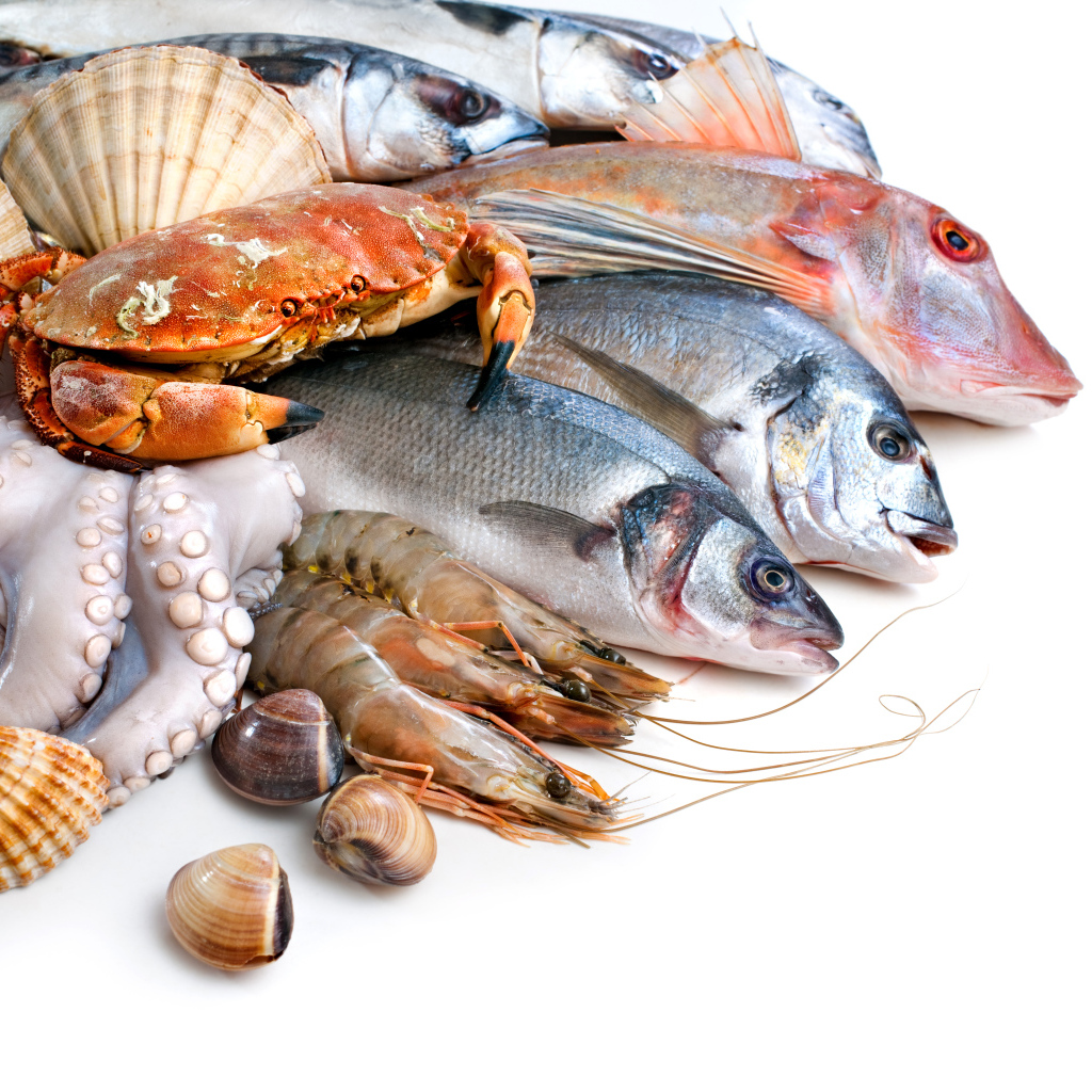 Много различных морепродуктов на белом фоне