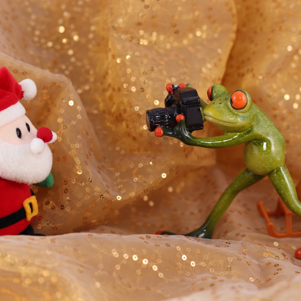Green toad photographs Santa Claus