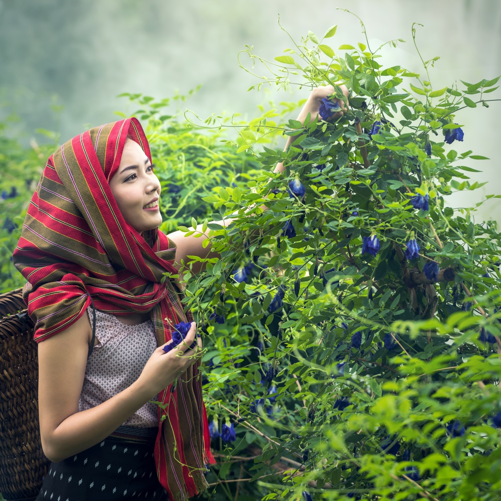 Девушка азиатка собирает цветы в корзину