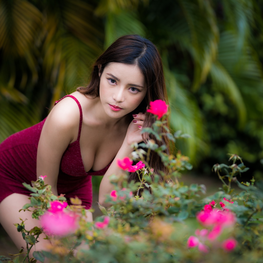 Девушка азиатка в красивом красном платье у куста роз