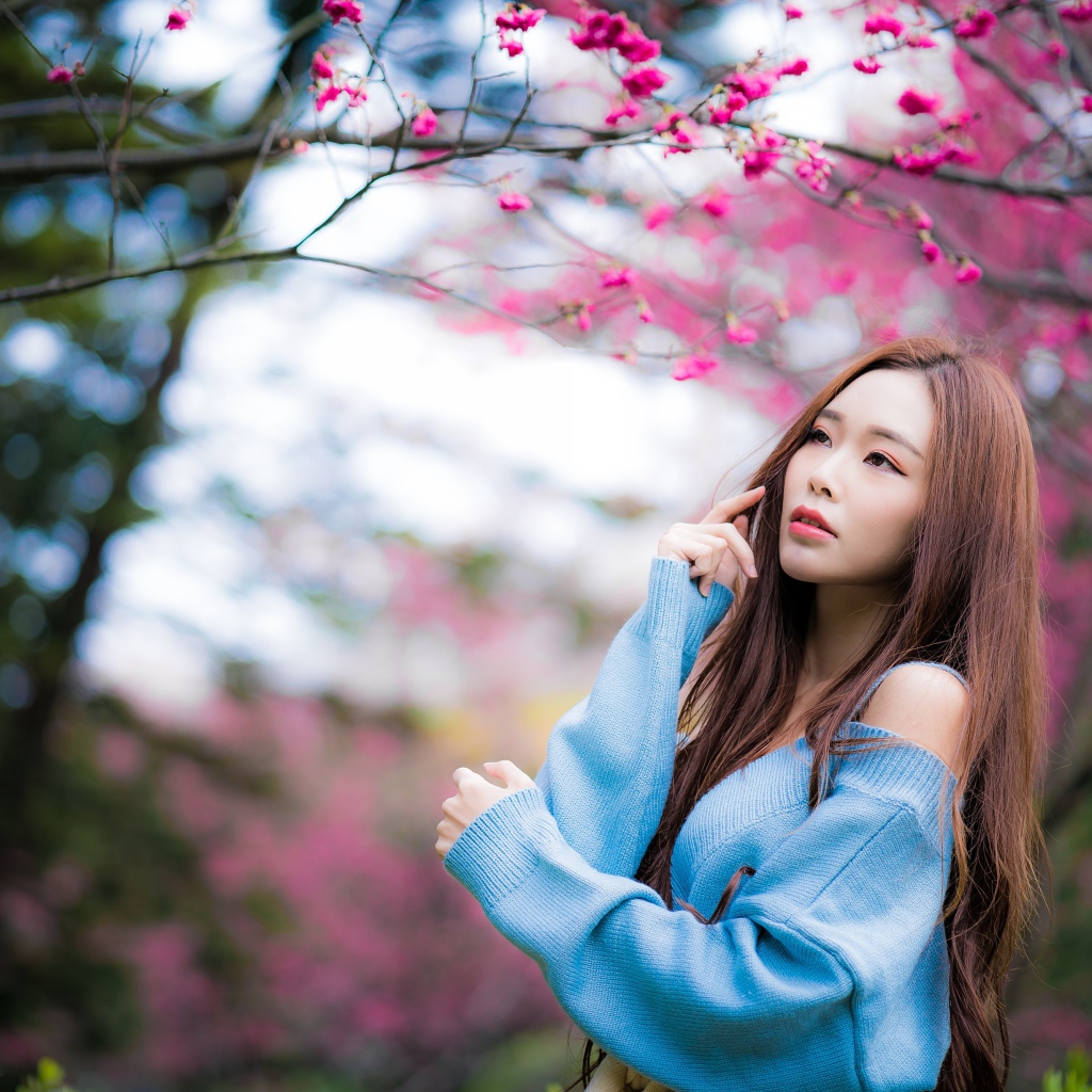 Красивая длинноволосая азиатка у дерева сакуры