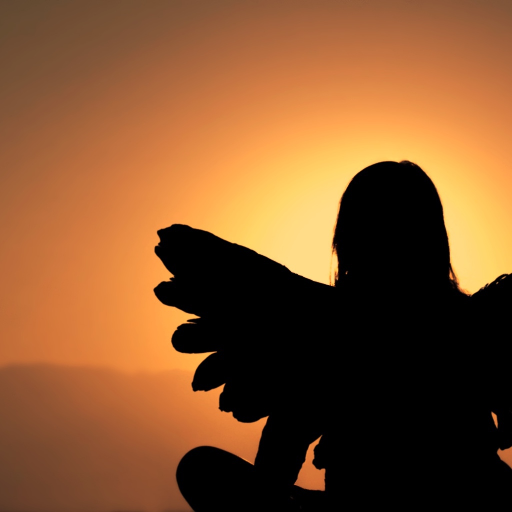 Силуэт девушки с крыльями ангела на фоне заката