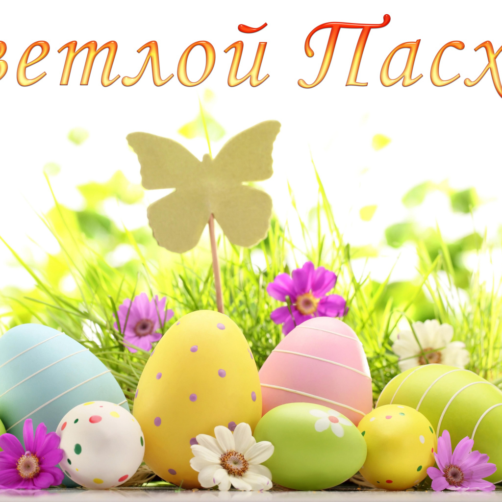 Открытка Светлой Пасхи с крашеными яйцами