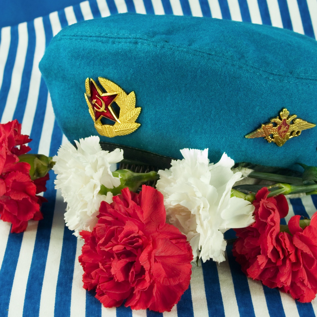Букет гвоздик, берет ВДВ и тельняшка на 9 мая 