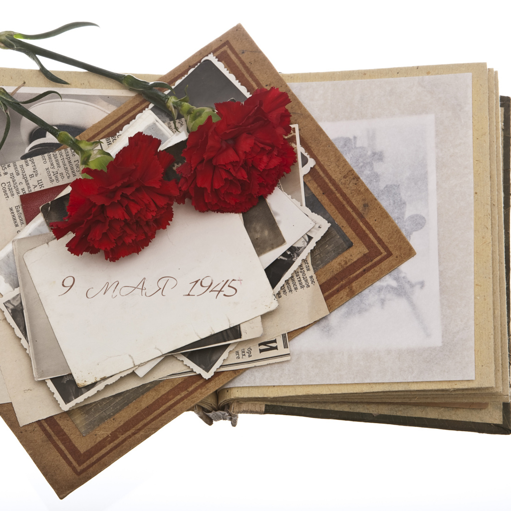 Военный альбом и две гвоздики на белом фоне на День Победы 9 мая 